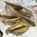 クックNPN3GI☆'s cooksnap of when they made 漁師さんに教わった！『メヒカリの唐揚げ』.