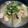 クック2H9MD0☆'s cooksnap of when they made 大根と鶏肉のコンソメ煮.