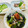 にゃつめ〜's cooksnap of when they made 節分＊イワシの塩焼き.