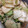 kaineco's cooksnap of when they made 簡単かぶきゅうりの浅漬け.
