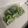 Sayan24's cooksnap of when they made ゴーヤの保存.