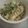 蜜柑の花's cooksnap of when they made 悪魔の豆腐 ♪ 冷奴でヘルシー？に.
