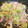 ☆ドキンちゃん☆”'s cooksnap of when they made かまぼことベーコンの簡単野菜炒め.