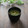 まろんかふぇ's cooksnap of when they made 簡単★春菊とえのきのお味噌汁.