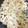 casusカスス 2012's cooksnap of when they made 簡単♪れんこんのガーリックバター炒め.