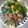 ピーナッツ子♪'s cooksnap of when they made ぶりの竜田揚げ✨.