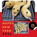 ゆかぽん1966's cooksnap of when they made スネーキーSnaky.