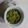 ぽてこ2020's cooksnap of when they made 母直伝のふき味噌◎本当においしいです◎.