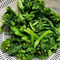 Ruca＊'s cooksnap of when they made 菜の花の美味しい茹で方✿.