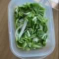 みるく茶's cooksnap of when they made 白菜の簡単浅漬け♪.