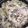 ♬あじさいのレシピ♬'s cooksnap of when they made 豚バラ肉白菜のミルフィーユ鍋.