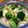 クックRM6XJA☆'s cooksnap of when they made 鶏モモ肉のワイン煮♪簡単クリスマス夕食.