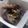 monkyon2006's cooksnap of when they made 簡単☆レンジで茄子のねぎダレ漬け.