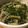 Rumy5110's cooksnap of when they made 簡単！レンジでエビときのこのアヒージョ.