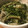 Rumy5110's cooksnap of when they made 簡単！レンジでエビときのこのアヒージョ.