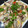 TeaChan214's cooksnap of when they made 簡単10分イタリアン☆鯛のアクアパッツァ.