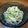YCHキッチン's cooksnap of when they made 新玉ねぎときゅうりとハムのサラダ.