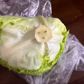 ※ぴーまん's cooksnap of when they made レタスの保存の仕方.