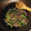 あのと's cooksnap of when they made *かき菜と豚肉の炒め煮*.