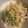 9ma9ma's cooksnap of when they made きのことベーコンのワンポットパスタ.