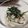 Choco996's cooksnap of when they made さっぱり大根梅サラダ　#お酢おかず.
