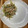 姉妹♡ママ♡'s cooksnap of when they made 豆苗とモヤシの和風サラダ.
