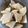たかまあ's cooksnap of when they made 大根の漬け物.