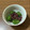 パステル三毛's cooksnap of when they made よもぎの白玉団子＊.
