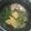 ゆうかりおん's cooksnap of when they made 鰹なまり節の常夜鍋.