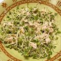 はるひやま's cooksnap of when they made ツナとブロッコリースプラウトの簡単サラダ.