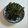fkdmsm's cooksnap of when they made しそ巻き味噌＊山形の味ごはんやつまみに.