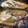 トコタン's cooksnap of when they made ナメタガレイの煮付け（下処理含む）.