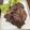 クック3P3W7D☆'s cooksnap of when they made 絶品★自家製パストラミビーフ.
