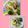 ゆけり３兄弟's cooksnap of when they made お手軽テリマヨチキン！お弁当のおかずにも.