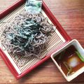 花時計咲いた's cooksnap of when they made ざるそば.