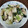 嵐の松潤が大好き♥️♥️'s cooksnap of when they made 簡単♪青梗菜と帆立のオイスターソース炒め.