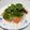 marie子育て中☆'s cooksnap of when they made サーモンのカルパッチョ.