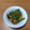 みぃくんのママ's cooksnap of when they made 厚揚げとインゲンのピリ辛炒め.
