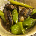おじ☆さん's cooksnap of when they made 万願寺とナスの煮びたし.