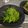 政志っす's cooksnap of when they made 簡単中華☆豆苗のニンニク炒め！.