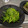 政志っす's cooksnap of when they made 簡単中華☆豆苗のニンニク炒め！.