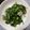 ♬のんのこ日和♬'s cooksnap of when they made 大根の葉の油炒め.