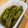 ☆のっこ★'s cooksnap of when they made ★簡単★ごま油が香るシシトウの煮浸し.