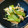 ばたみそーぱん☆'s cooksnap of when they made たったの5分！小松菜とエノキのお浸し★.