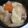 モコナモドキ's cooksnap of when they made ひっつみ(すいとん)生地☆お鍋に.