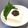 クックUR9L2V☆'s cooksnap of when they made 大葉味噌の冷奴★祝・レシピ本掲載.