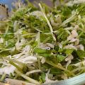 あゆたっくん's cooksnap of when they made 豆苗とキャベツの塩こぶサラダ.