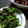 みなあゆママ's cooksnap of when they made 茹でて混ぜるだけ♡ほうれん草のごま和え.