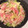 あやたそセーイ's cooksnap of when they made 白菜と豚のミルフィーユ鍋　お勧めの食べ方.
