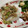 たいやきじゃっく's cooksnap of when they made 時短節約！チンゲン菜ともやしの肉みそ炒め.